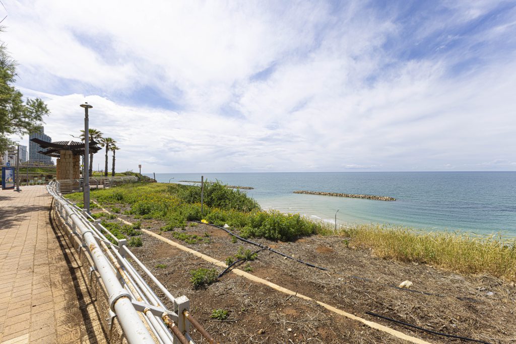 4-bedroom-apartments-for-sale-in-netanya